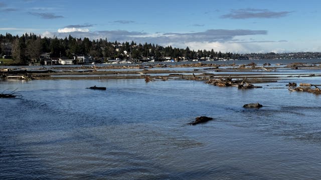 Renton, WA residents expect long cleanup in Cedar River flooding aftermath