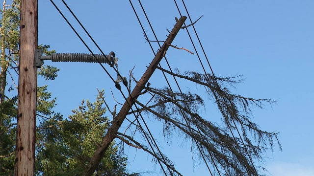 Windstorm cuts power for more than 20,000 homes on WA's Whidbey Island