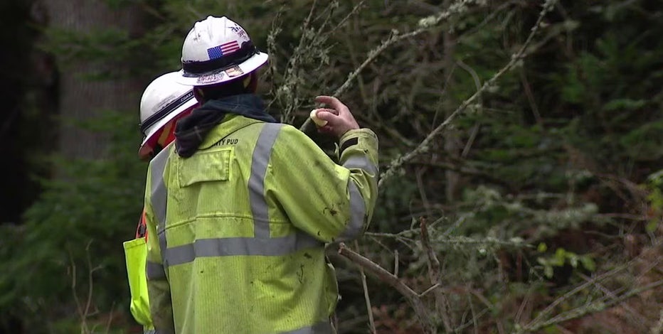 Officials offer resources during widespread power outage on WA's Camano Island