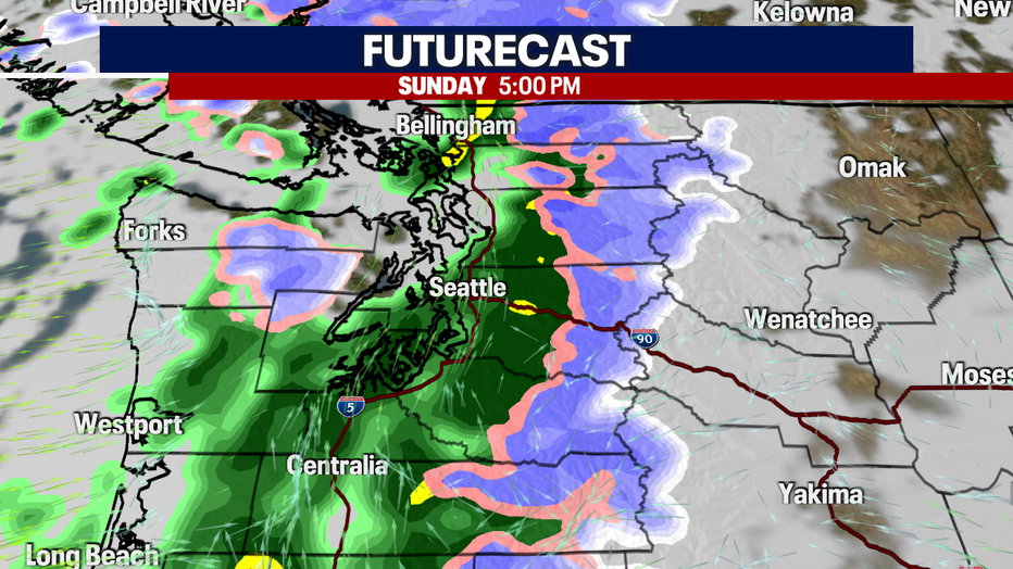 Futurecast forecast for Western Washington on Sunday. 