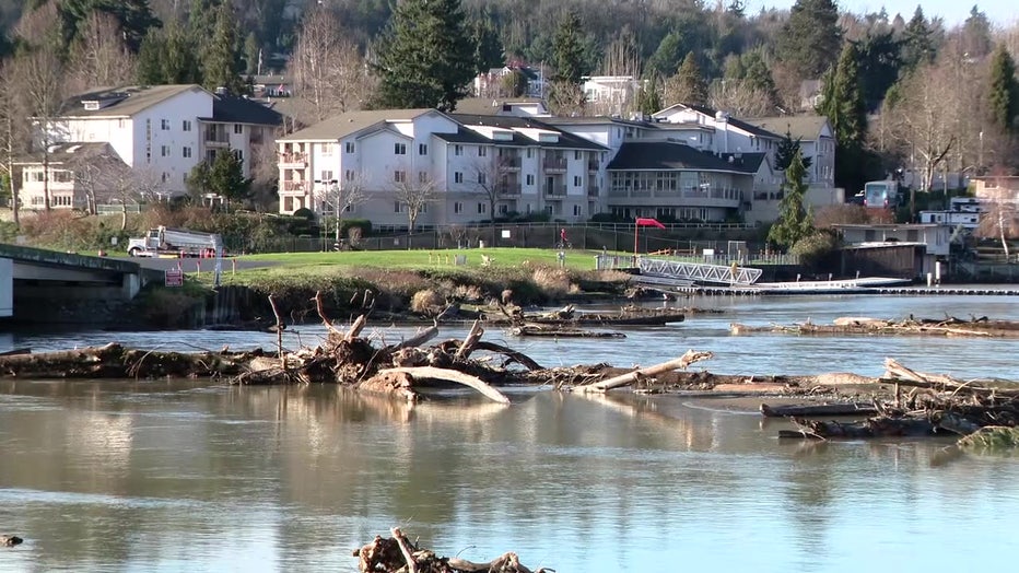 WA flooding salmon impacts