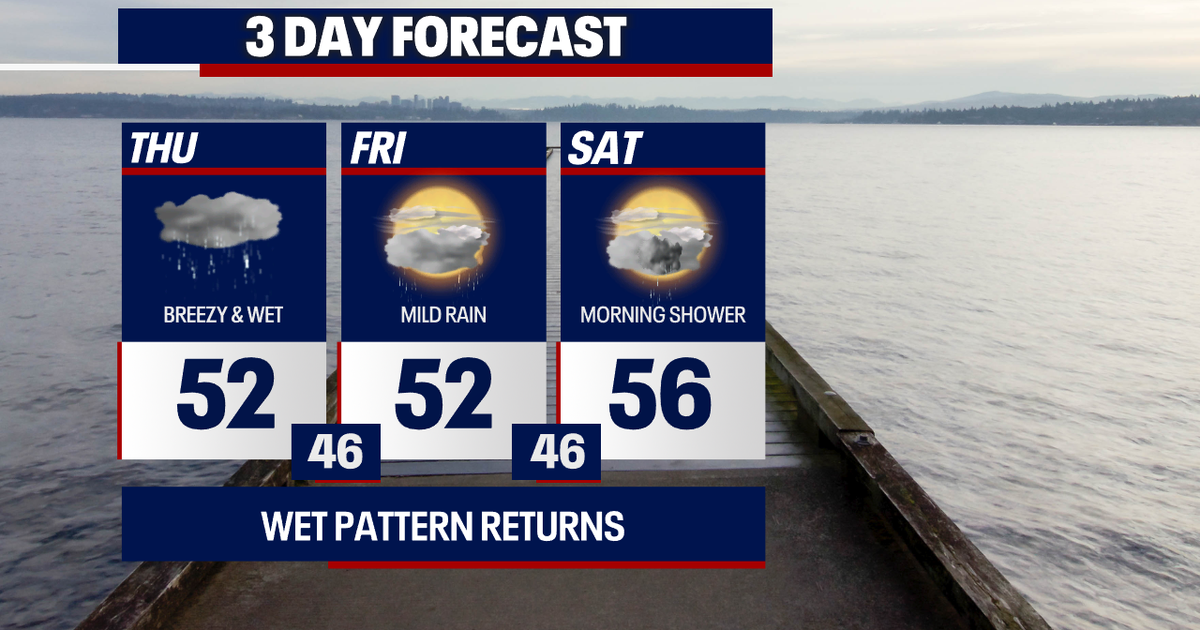 Damp weather finally returns to Seattle