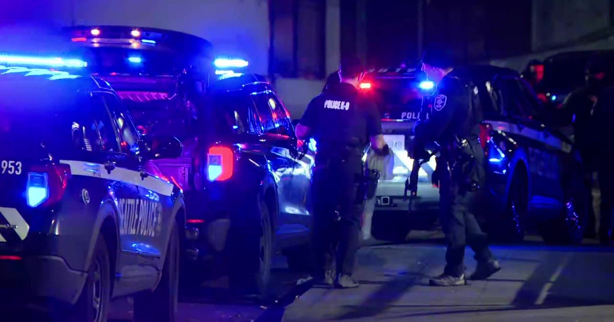 Two men stabbed in apparent attempted robbery in Seattle's Freeway Park