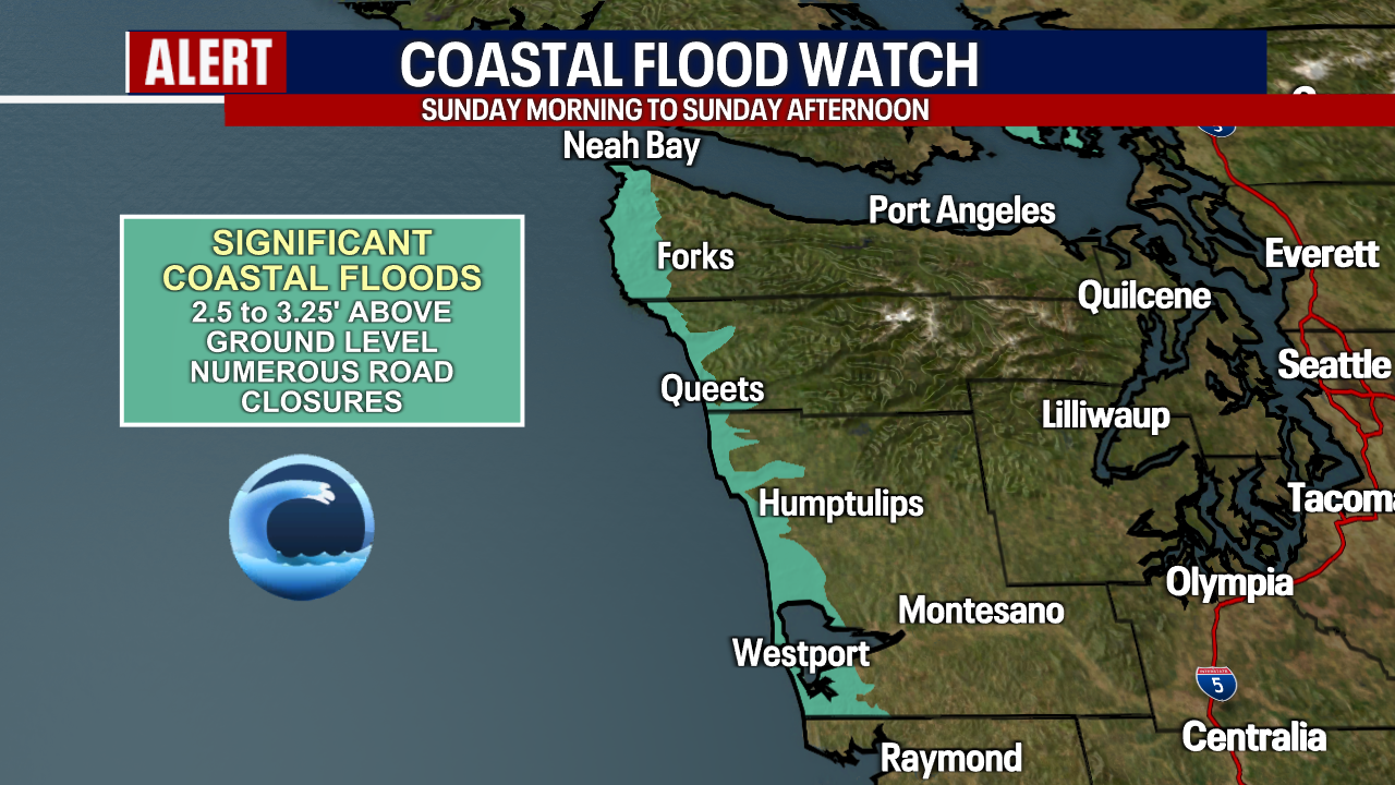 Seattle weather: Damp, breezy weather for first week of 2026