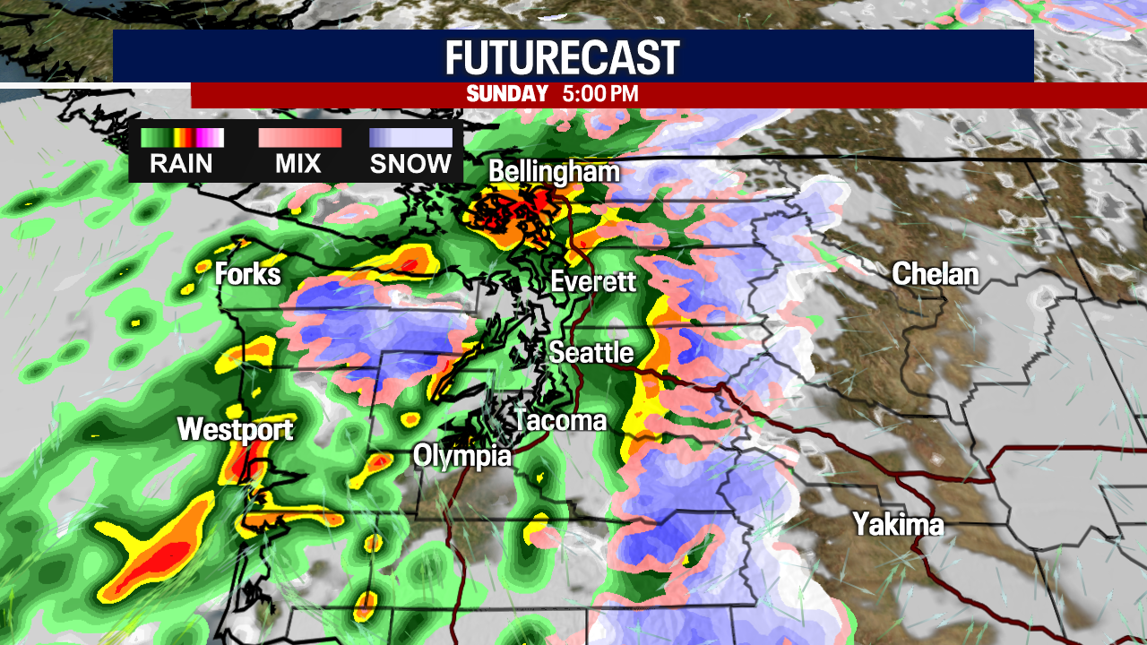 Rounds of sloppy, breezy weather in Seattle