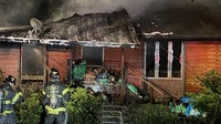 40 dogs killed in Poulsbo, WA house fire