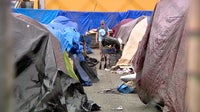 King County, WA counts homeless population amid freezing overnight temperatures