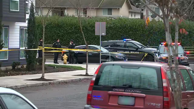 2 shot by federal immigration agents in Portland, OR