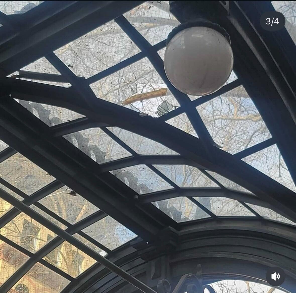 Crowds climb, damage Seattle's historic pergola after Seahawks Super Bowl win