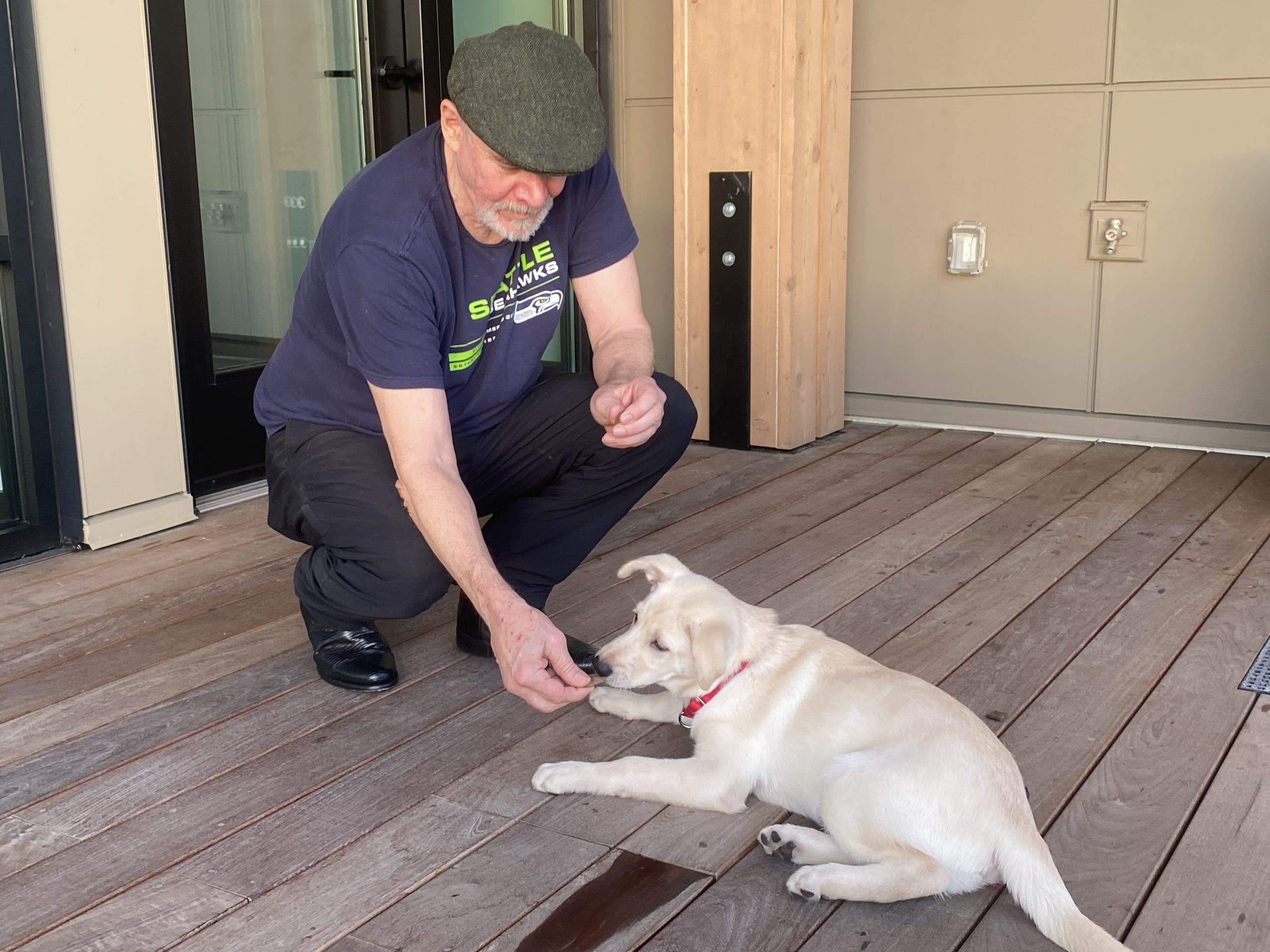 'Lucky' WA pup adopted after being rescued from fentanyl overdose