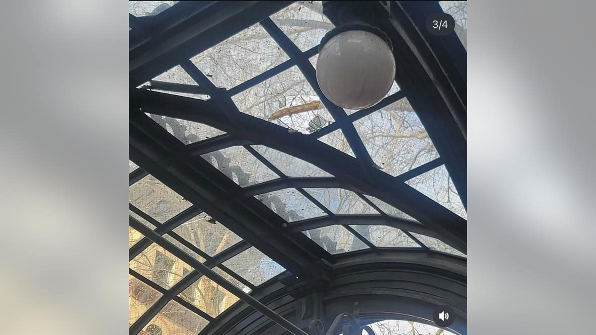 Crowds climb, damage Seattle's historic pergola after Seahawks Super Bowl win