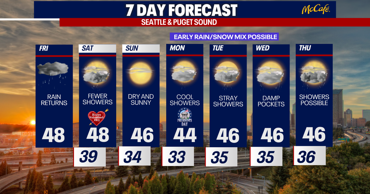 Filtered sunshine on Valentine's Day in Seattle