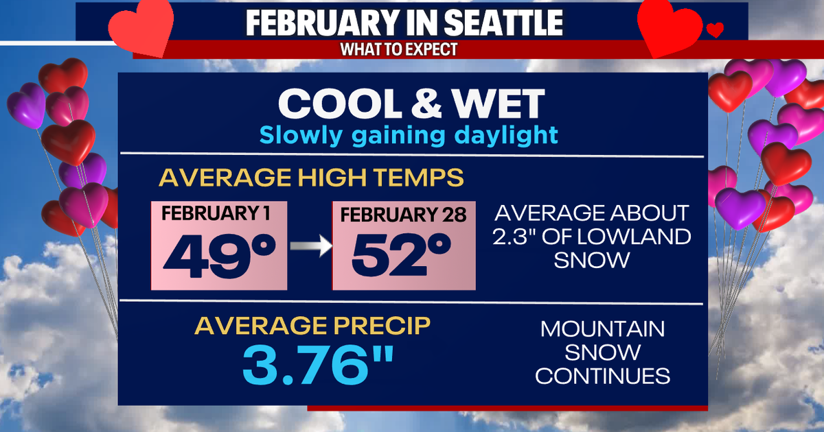 Warmer, drier weather in Seattle this week | FOX 13 Seattle