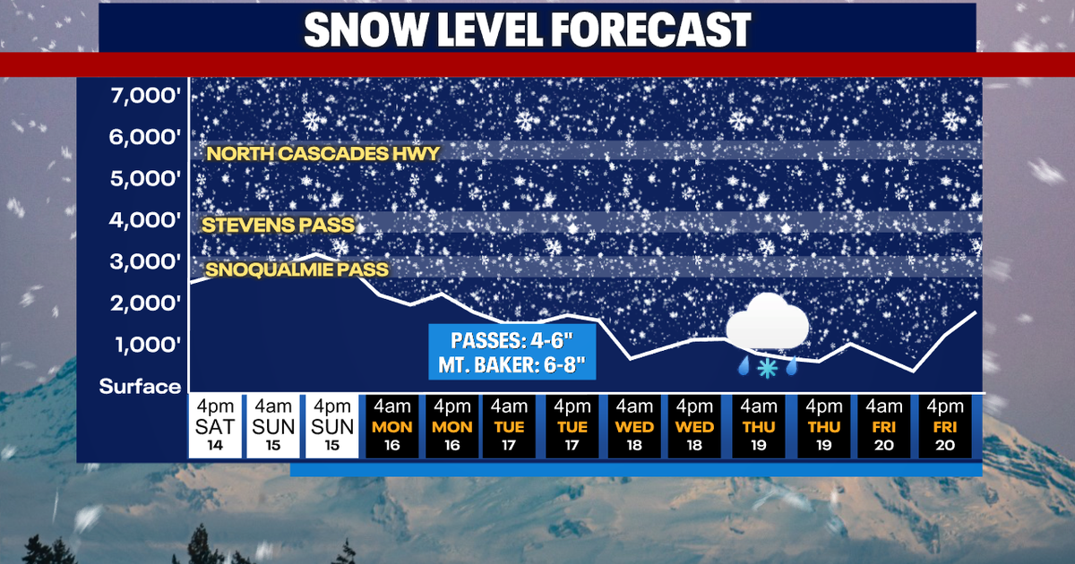 Seattle weather: Cool sunshine Sunday afternoon