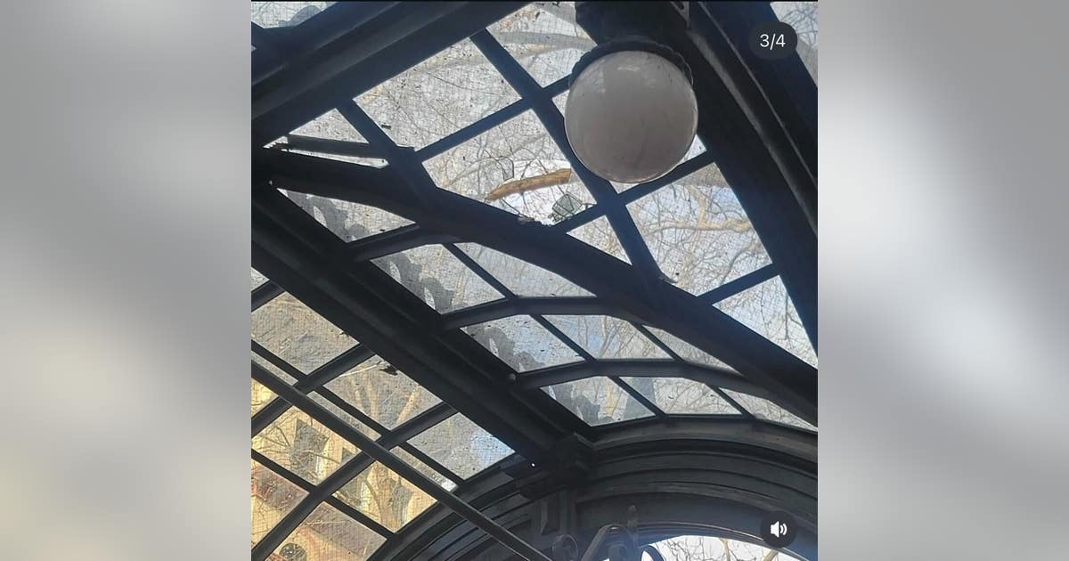 Crowds climb, damage Seattle's historic pergola after Seahawks Super Bowl win