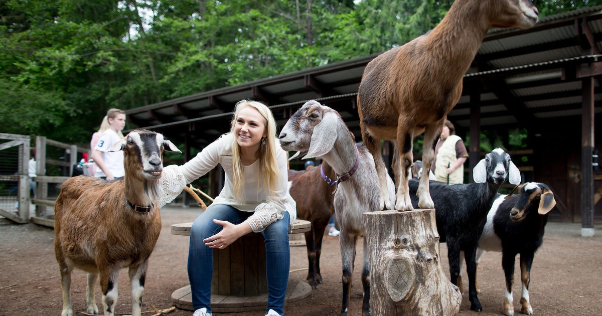 Seattle's Woodland Park Zoo to transform Family Farm into new Wild Encounters area