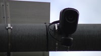 Lynnwood clips Flock's wings: Contract canceled with surveillance camera company