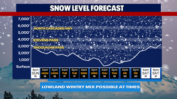 Seattle weather: Cold rain, wintry mixes ahead