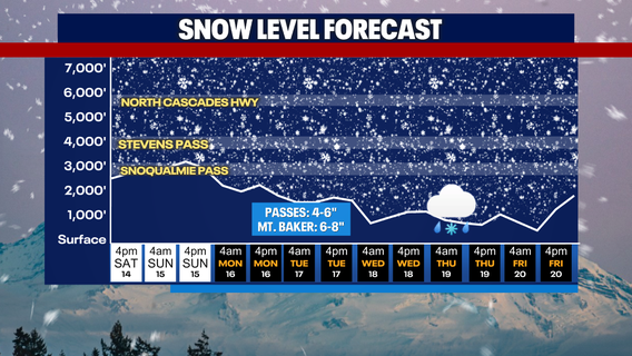 Seattle weather: Cool sunshine Sunday afternoon