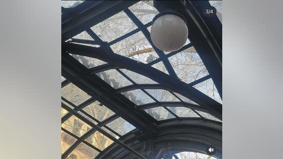 Crowds climb, damage Seattle's historic pergola after Seahawks Super Bowl win