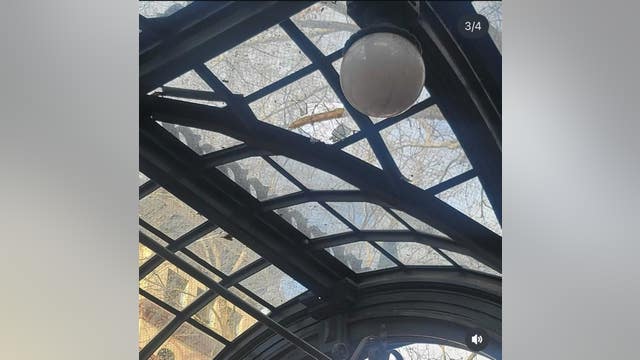 Crowds climb, damage Seattle's historic pergola after Seahawks Super Bowl win