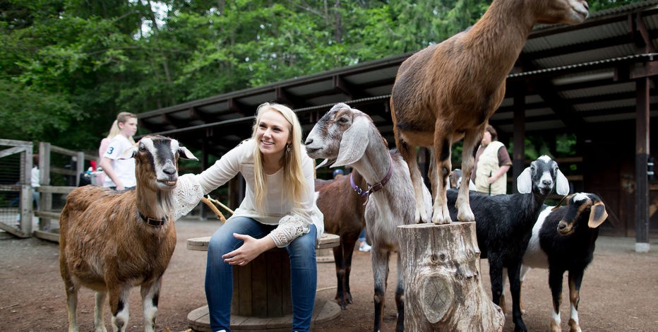 Seattle's Woodland Park Zoo to transform Family Farm into new Wild Encounters area