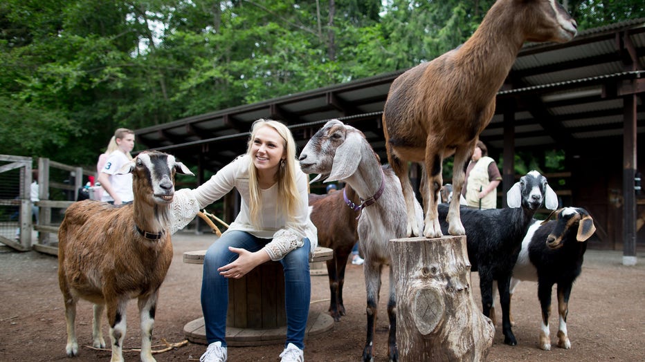 Woodland Park Zoo to transform Family Farm into Wild Encounters