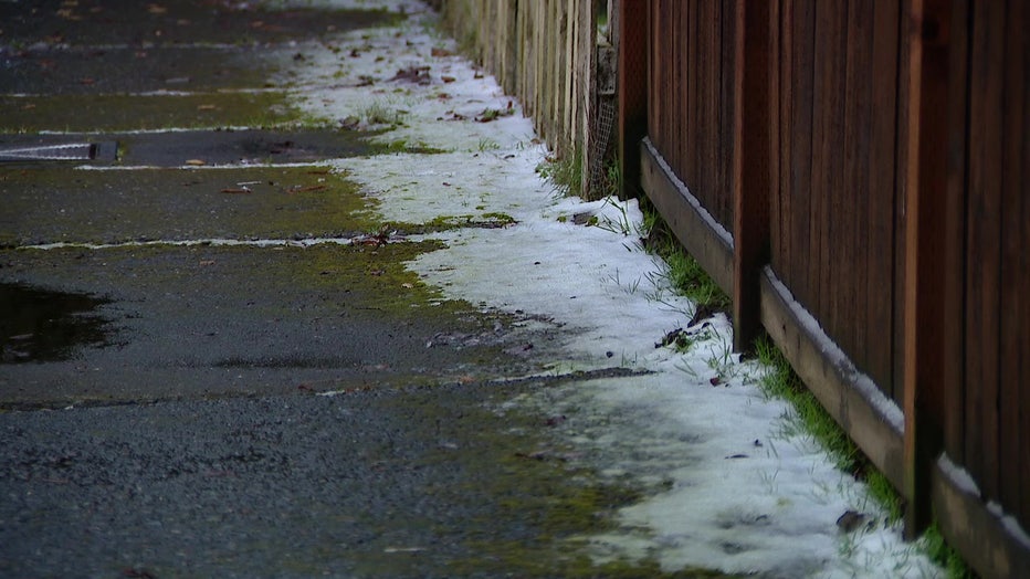 Frost On The Ground in Burien