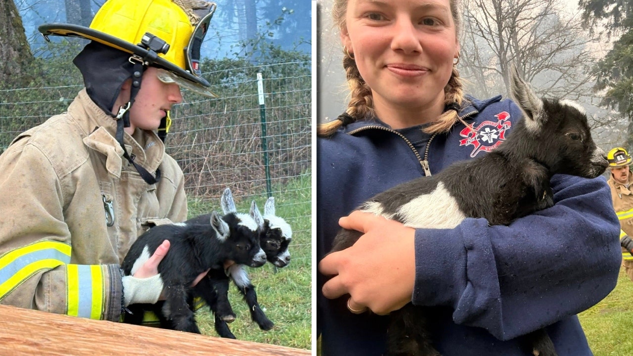 WA firefighters rescue goats from nearby burning barn in Cowlitz County