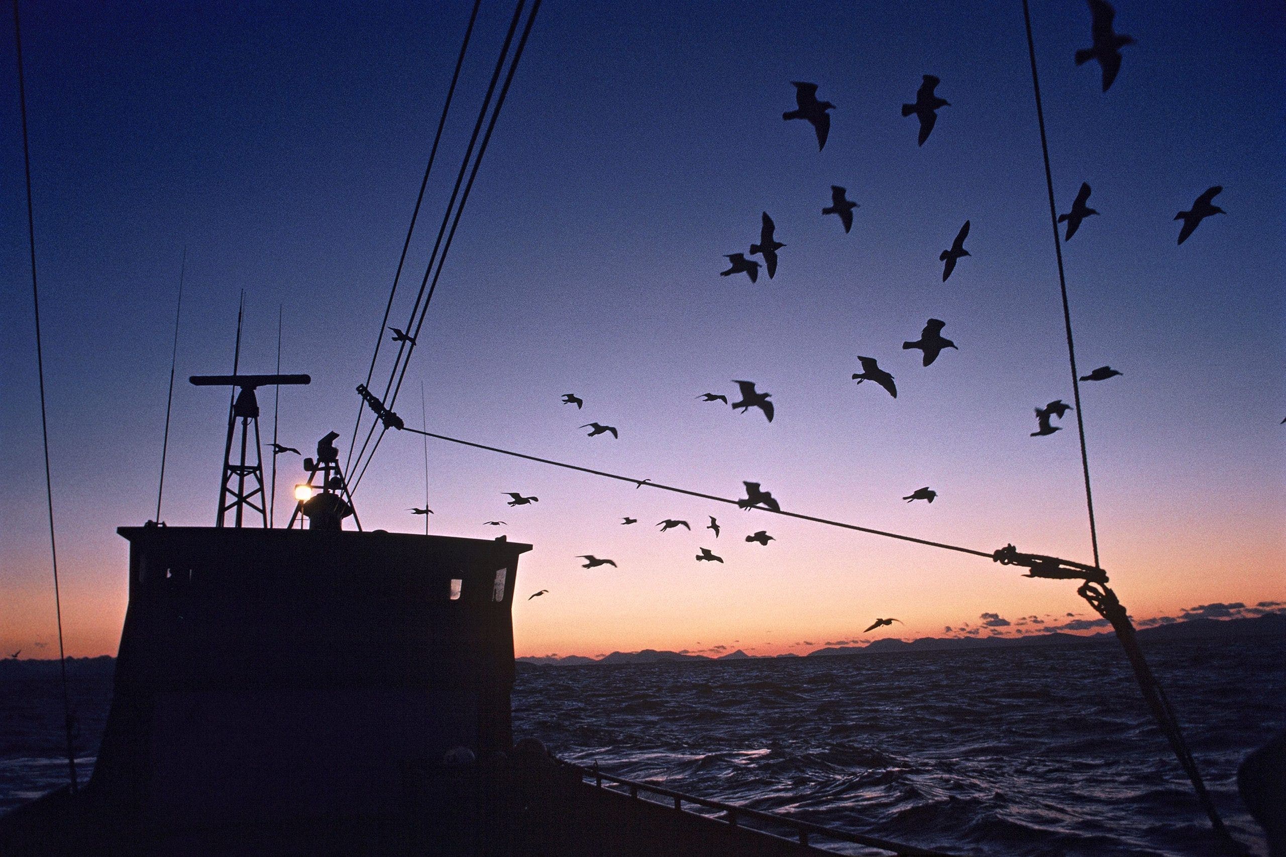 'Deadliest Catch' star Todd Meadows of WA dies at 25