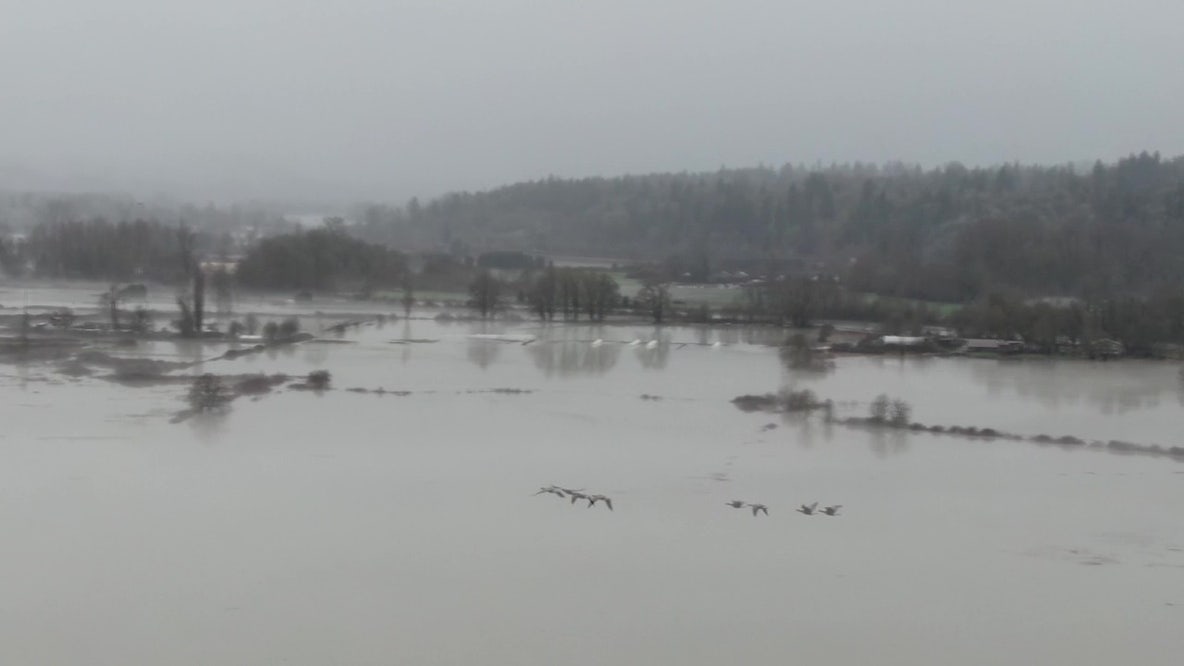 Locals brace for Snoqualmie River flooding, Carnation, WA residents 'used to it'