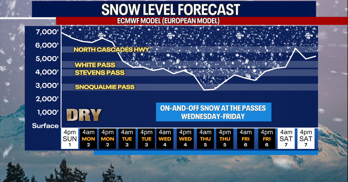 Spring-like weather in Seattle for early March