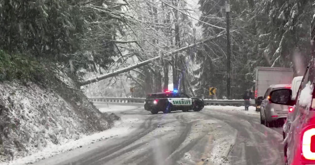 Thousands lose power as snow falls in western WA | FOX 13 Seattle