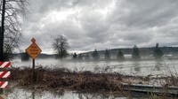 Floodwaters near Carnation, WA could again turn the town into an island