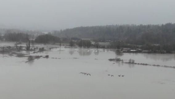 Locals brace for Snoqualmie River flooding, Carnation, WA residents 'used to it'