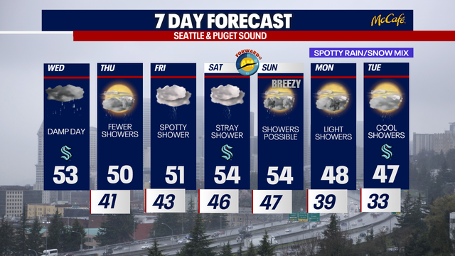 Seattle to see damp weather in the days ahead