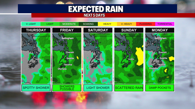 Seattle weather: Showers this week, followed by a cooldown