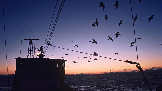 'Deadliest Catch' star Todd Meadows of WA dies at 25