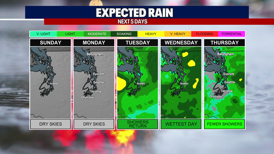 Seattle weather turns wetter beginning Tuesday with steady light rain adding up through late week.