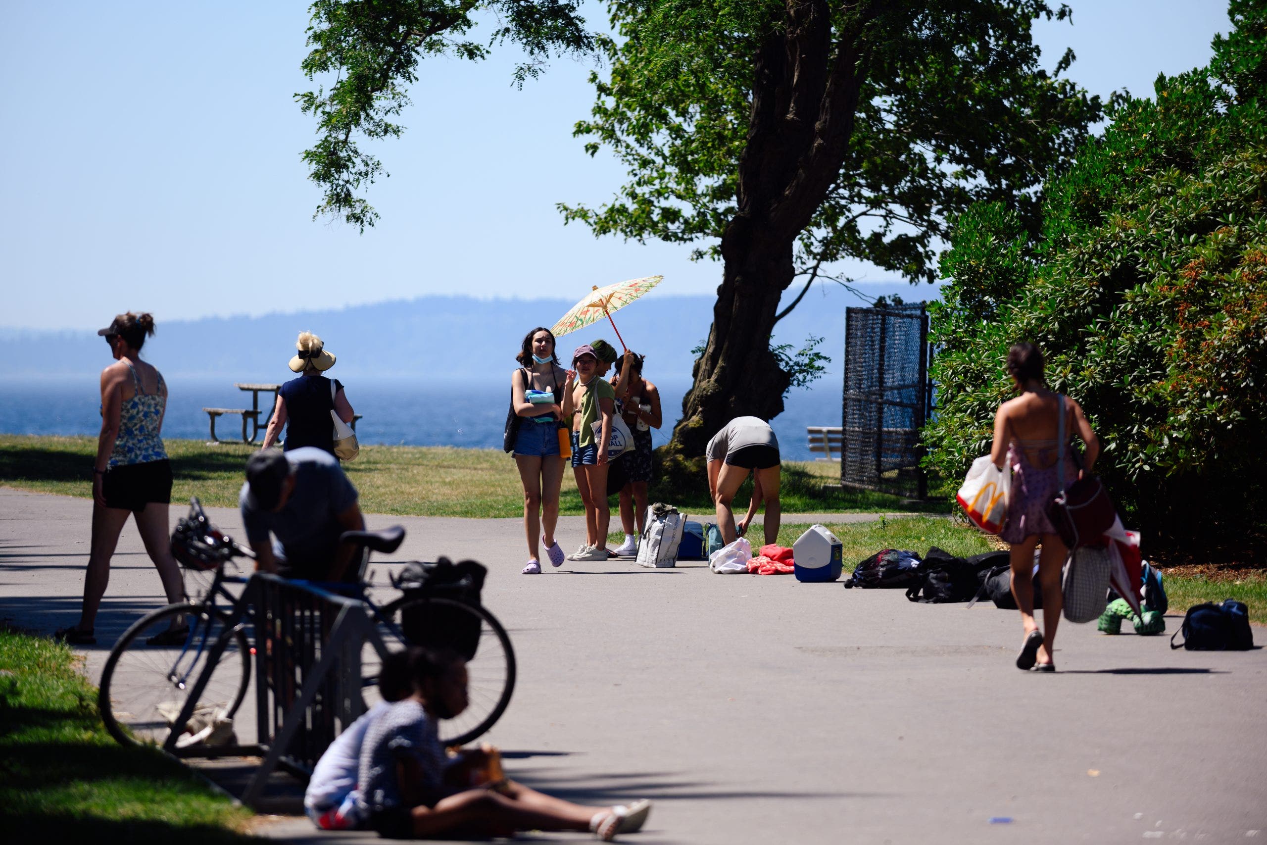 Get ready for summer weekend car bans in Seattle. 'This is your city,' says mayor