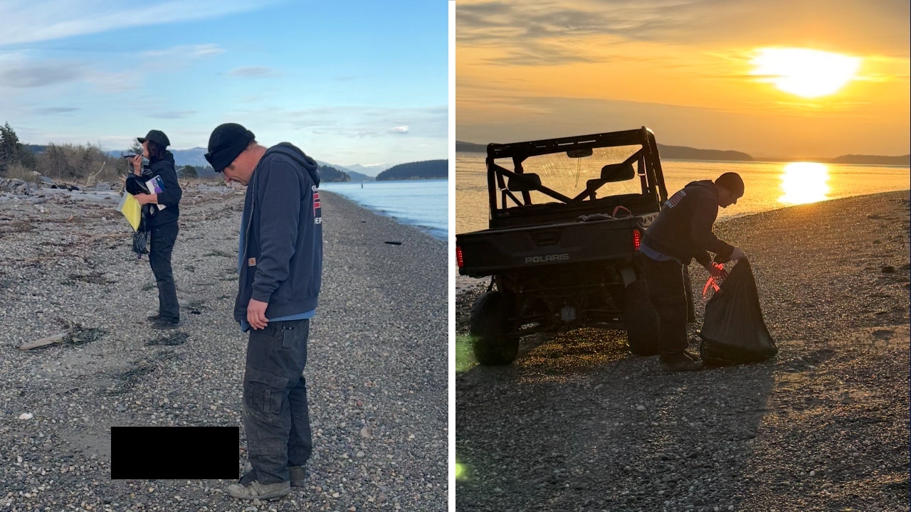 At least 20 dead canines wash ashore in Skagit County, WA