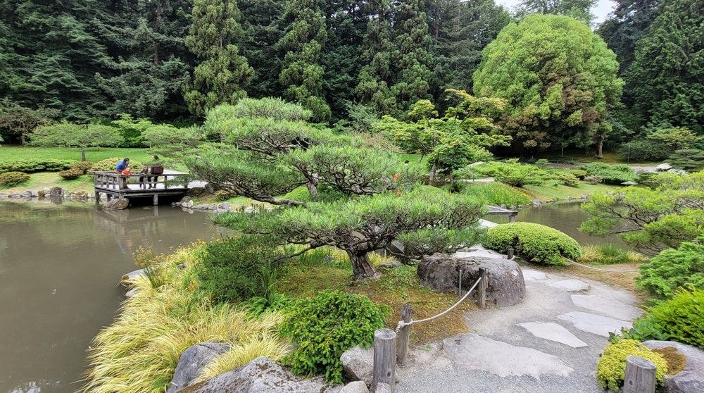 Seattle Japanese Garden will be closed during FIFA World Cup 2026