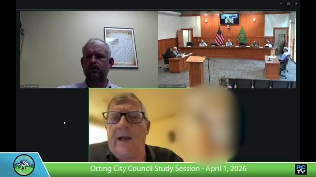 Orting City Council video shows nude woman during virtual meeting