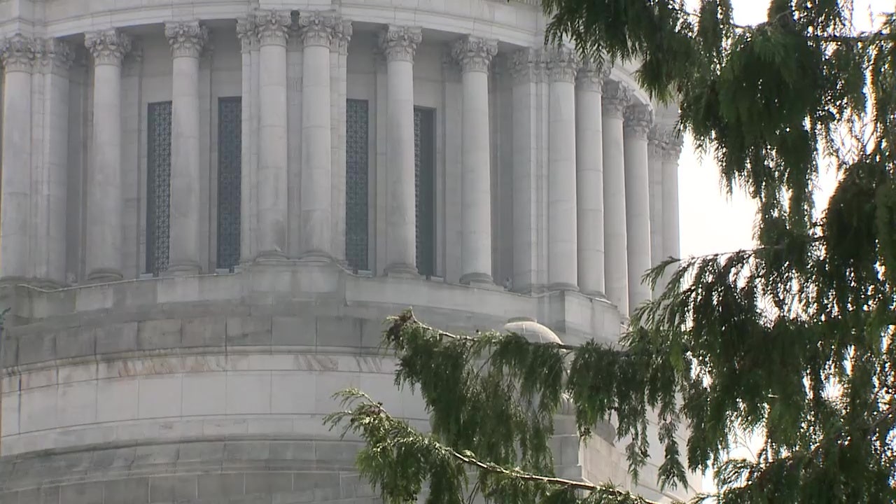 Emails show WA's ‘millionaires tax’ aims to overturn historic ruling