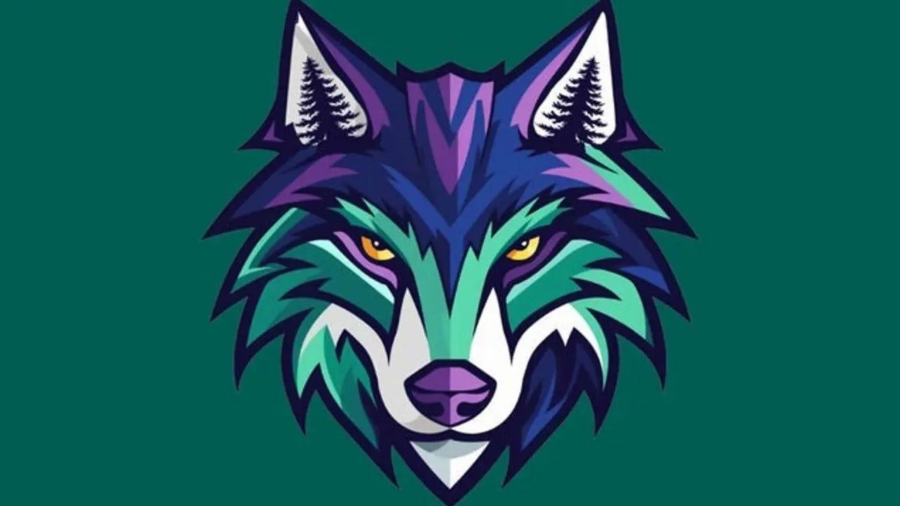 Washington Wolfpack, FOX 13 Seattle announce broadcast partnership