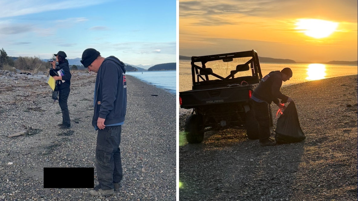 At least 20 dead canines wash ashore in Skagit County, WA