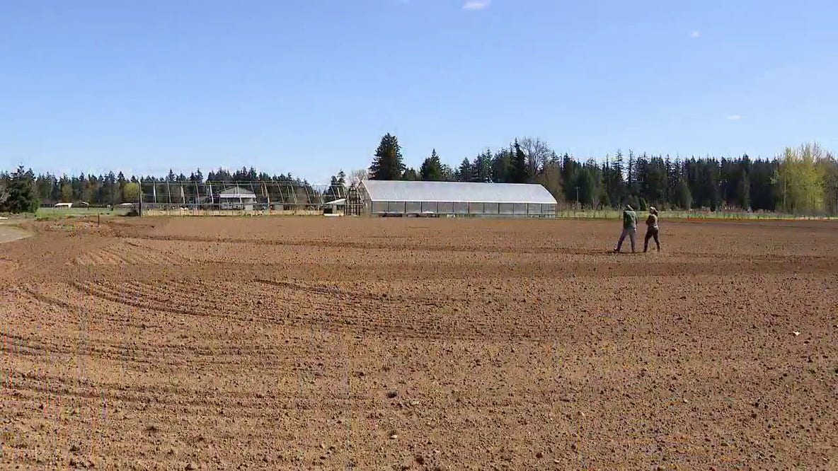 WA farmer says ICE raids leaves critical gap during planting season