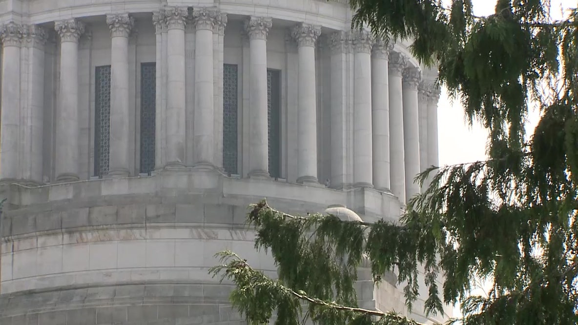 Emails show WA's ‘millionaires tax’ aims to overturn historic ruling