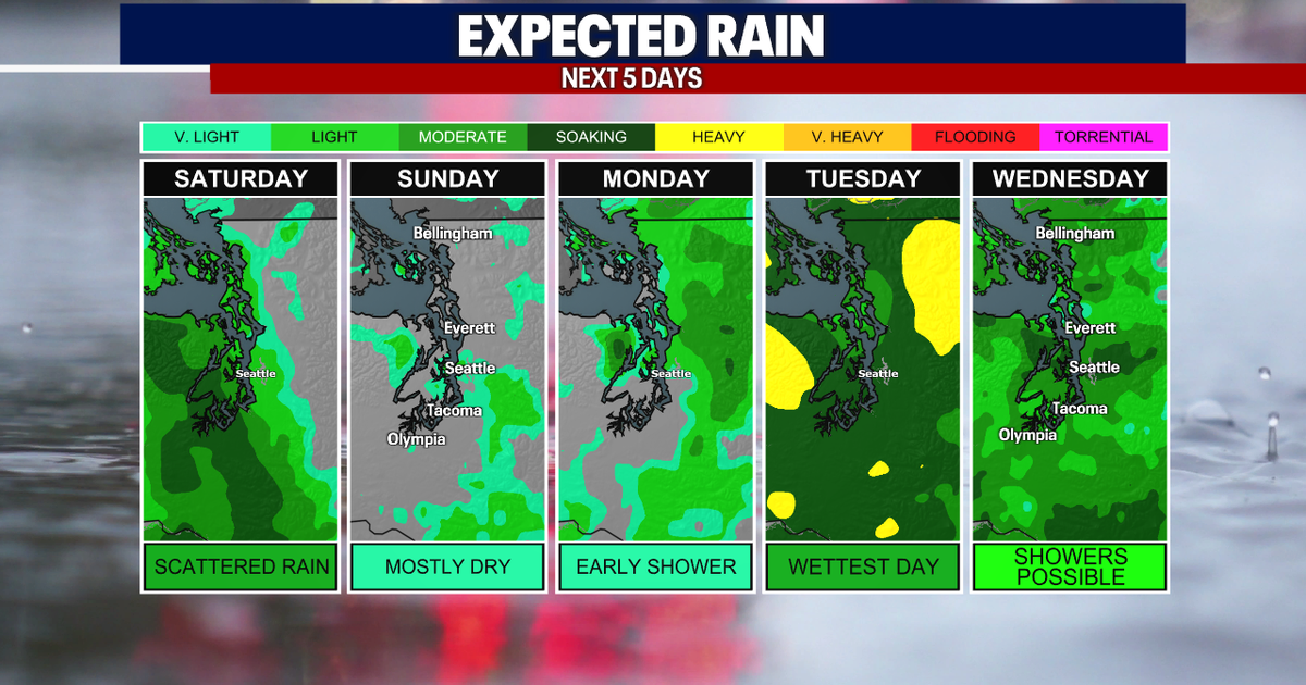 Showers and cooler temperatures return for Saturday | FOX 13 Seattle