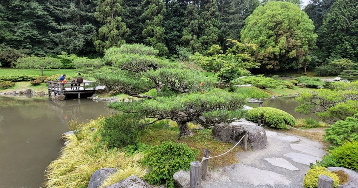 Seattle Japanese Garden will be closed during FIFA World Cup 2026